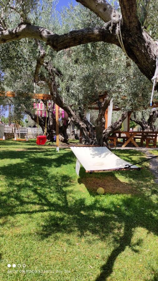 Rent Alexiou Apartment Limni (Evia)
